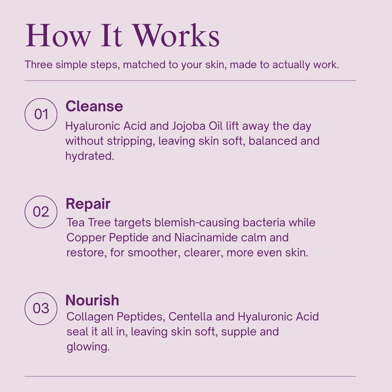 The Repair & Renew Kit