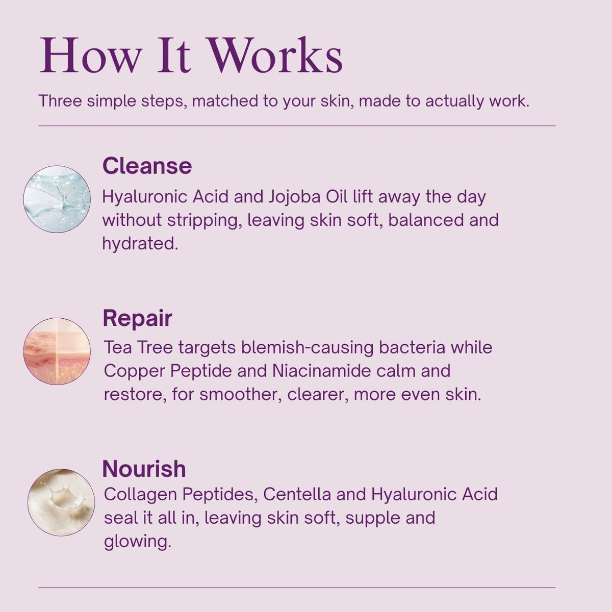 The Repair & Renew Kit